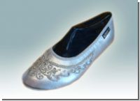Schuhe-Silber-Bestickt